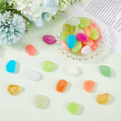 1 Set Resin Luminous Glow in the Dark Pebbles Stone&nbsp;DJEW-CN0001-40A