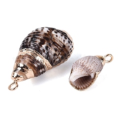 Electroplate Natural Spiral Shell Pendants&nbsp;SSHEL-Q100-44G