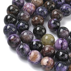 Natural Charoite Beads Strands&nbsp;G-C270-O03-12