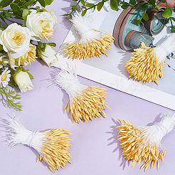 綿とジェッソの造花芯5束  ゴールド  56~57x0.5~2mm  400個/バンドル&nbsp;DIY-GF0013-35A