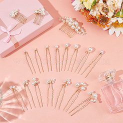 6Pcs Iron Resin Hair Cormbs & 12Pcs Iron Resin Hair Forks for Women&nbsp;PHAR-OC0001-05