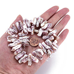 Natural Keshi Pearl Beads Strands&nbsp;PEAR-S020-H06
