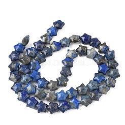 天然ラピスラズリのスタービーズ連売り  7.5x8x4.5mm  穴：0.8mm  約54~56個/連  15.12''~15.20''（38.4~38.6センチメートル）&nbsp;G-Z080-A05