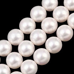 Electroplated Glass Pearl Graduated Beads Strands&nbsp;BSHE-C011-03B