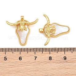 304 Stainless Steel & Natural Freshwater Shell Pendants&nbsp;SH-CBA6A0D-01G