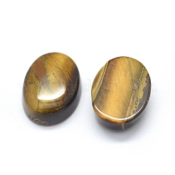 Natural Tiger Eye Cabochons&nbsp;G-O175-24C1