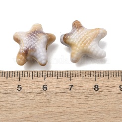 不透明なアクリルビーズ  ヒトデ  ナバホホワイト  18.5x17.5x10mm  穴：2.5mm  約416個/500g&nbsp;SACR-K005-05A