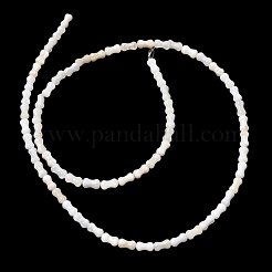 Natural Freshwater Shell Beads Strands&nbsp;SHEL-A006-04A