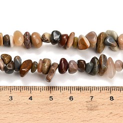Natural Alashan Agate Beads Strands&nbsp;GG-CBAE051-A04-01