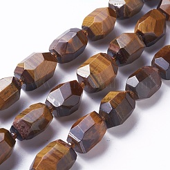 Natural Tiger Eye Beads Strands&nbsp;G-P434-36