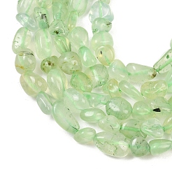 Natural Prehnite Beads Strands&nbsp;G-K395-B08-01