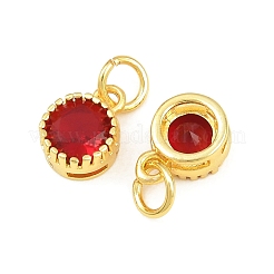 Brass Pave Cubic Zirconia Charms&nbsp;CU-CBA3D67-02G-08