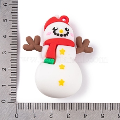 PVC Plastic Pendants&nbsp;KY-S172-02H