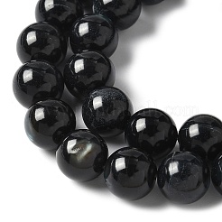 天然ブラックリップシェルビーズ連売り  染め  ラウンド  ブラック  10mm  穴：1mm  約39個/連  14.96インチ（38cm）&nbsp;SSHEL-C013-01D