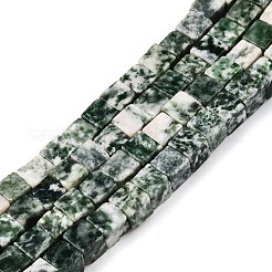 Natural Green Spot Jasper Beads Strands&nbsp;G-T139-6x6-23A