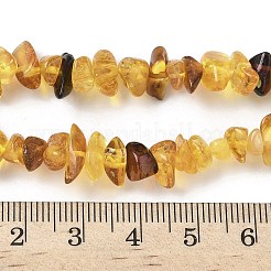 天然琥珀ビーズ連売り  チップ  5~11x4.5~6x2~4mm  穴：0.6mm  14.96インチ（38cm）&nbsp;G-L095-D01-04
