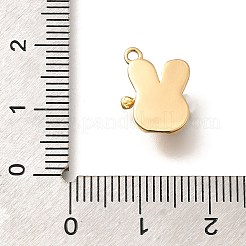 Brass Charms&nbsp;KK-C085-02G