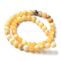 天然石イエロージェイド翡翠ビーズ連売り  ラウンド  8mm  穴：1.2mm  約46個/連  15''（38.1センチメートル）&nbsp;X-G-F591-17-8MM