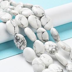 Natural Howlite Beads Strands&nbsp;G-L164-A-36