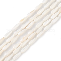 Natural Freshwater Shell Beads Strands&nbsp;SHEL-M018-09