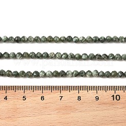 Natural Seraphinite Beads Strands&nbsp;G-K376-A02-4mm