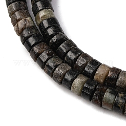 Natural Biotite Beads Strands&nbsp;G-L624-I12-3x6mm