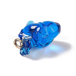Transparent Resin Pendants&nbsp;RESI-E028-01G-05