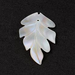Natural Sea Shell Pendants&nbsp;SSHEL-K001-002
