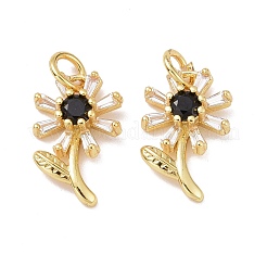 Rack Plating Brass Micro Pave Cubic Zirconia Pendants&nbsp;KK-E033-11G