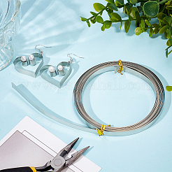 平銅ニッケル線  DIYクラフト用  生（メッキなし）  8x0.2mm  約19.69フィート（6m）/ロール&nbsp;CWIR-WH0012-07E-01