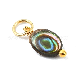 Natural Paua Shell Pendants&nbsp;PALLOY-JF05290-01