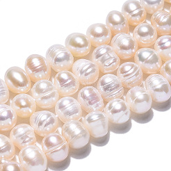 グレードab天然養殖淡水パールビーズ連売り  ポテト  貝殻色  6.5~7.5x5~6mm  穴：0.8mm  約54~55個/連  13.39インチ（34cm）&nbsp;PEAR-N013-05G