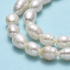 天然養殖淡水パールビーズ連売り  ライス  リネン  5.5~6.5x4~4.5mm  穴：0.5mm  約68~69個/連  15.35''~15.55