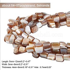 5 Strands Natural Freshwater Shell Beads Strands&nbsp;SHEL-CA0001-09