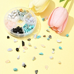 60G 6 Styles Natural & Synthetic  Gemstone Beads Chips&nbsp;G-FS0005-80