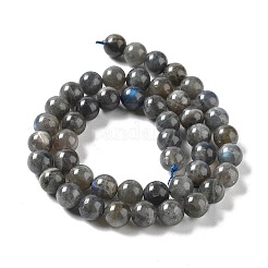 Natural Labradorite Beads Strands&nbsp;G-S333-6mm-035