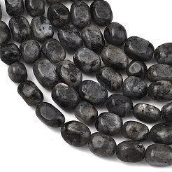 天然ラルビカイトビーズ連売り  タンブルストーン  ナゲット  7~11x7~9x5~7mm  穴：1.2mm  約21~23個/連  7.09~7.48''（18~19センチメートル）&nbsp;GG-C286-A28