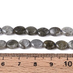 天然石ラブラドライトビーズ連売り  フラットオーバル  8x6x4mm  穴：0.8mm  約48~49個/連  14.88~15.16''（37.8~38.5センチメートル）&nbsp;G-T142-19