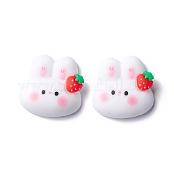 Resin Cabochons&nbsp;RESI-C008-04