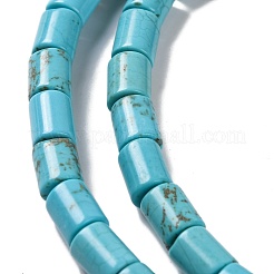 Natural Howlite Beads Strands&nbsp;G-H025-01