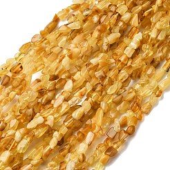 天然琥珀ビーズ連売り  ナゲット  5~9x4~6x3~4.5mm  穴：0.7mm  約75~89個/連  15.35''（39cm）〜15.94''（40.5cm）&nbsp;G-I389-A15