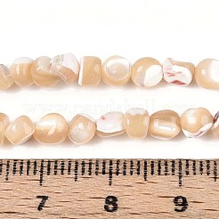 天然トロチッドシェル/トロカスシェルビーズ連売り  ナゲット  小麦  4~6x2.5~6mm  穴：0.6mm  約92~101個/連  14.96~15.94インチ（38~40.5cm）&nbsp;SSHEL-N040-11