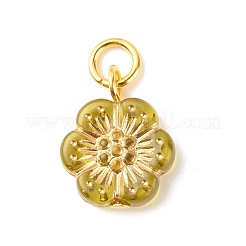 メッキアクリルパーツ  ライン入り  ゴールデントーン鉄パーツ  花  ミックスカラー  16x13x4mm  穴：4mm&nbsp;PALLOY-JF01599