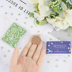 240Pcs 2-Hole Baking Paint Opaque Colours Glass Seed Beads&nbsp;SEED-SC0001-12E