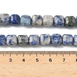 Natural Blue Spot Jasper Beads Strands&nbsp;G-C267-A20