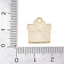 Valentine's Day Alloy Enamel Pendants&nbsp;ENAM-I084-01KCG-15