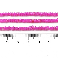 Natural Freshwater Shell Beads Strands&nbsp;SHEL-P017-01B-01