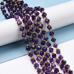 Natural Amethyst Beads Strands&nbsp;G-P463-23