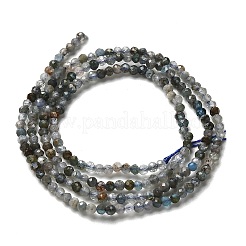 天然石アパタイトビーズ連売り  多面カットラウンド  2mm  穴：0.5mm  約175~233個/連  15.16''~15.35''（38.5~39センチメートル）&nbsp;G-RM2025-A23-2mm