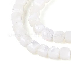 天然トロチッドシェル/トロカスシェルビーズ連売り  ファセットテーブルカットキューブビーズ  貝殻色  2~2.5x2~2.5x2~2.5mm  穴：0.5~0.7mm  約158~163個/連  15.16~15.35インチ（38.5~39cm）&nbsp;BSHE-T014-52A-01